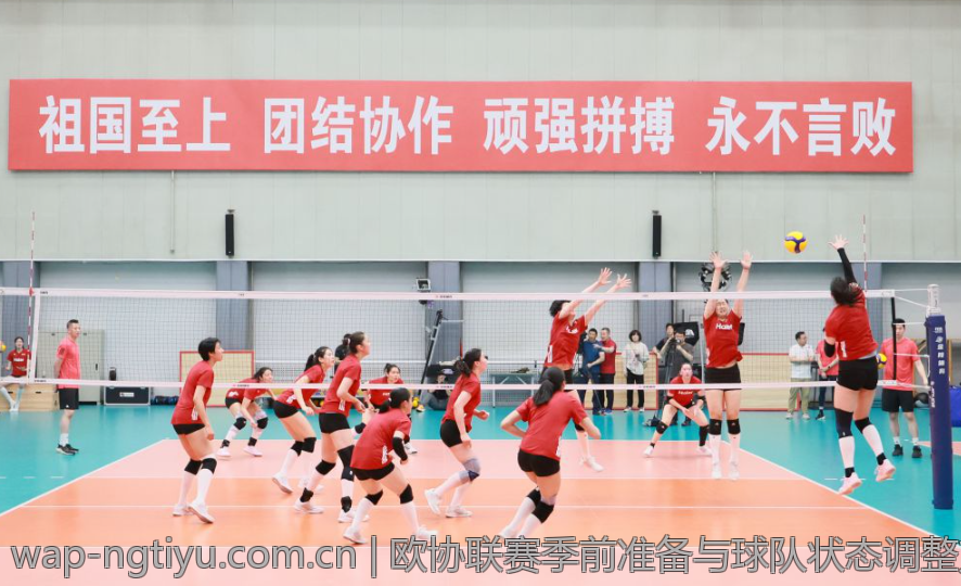 羽毛球运动的历史名将与经典战役回顾